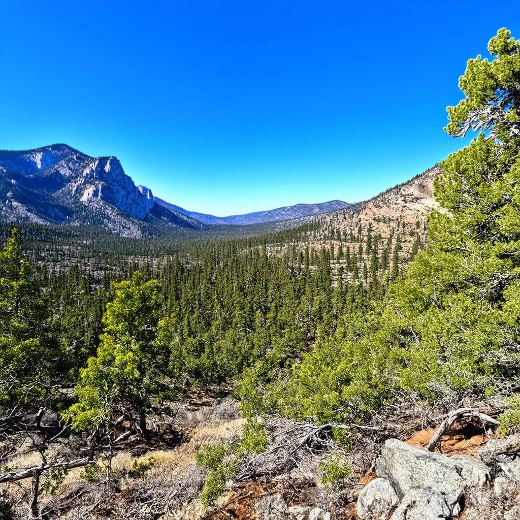 US National Park