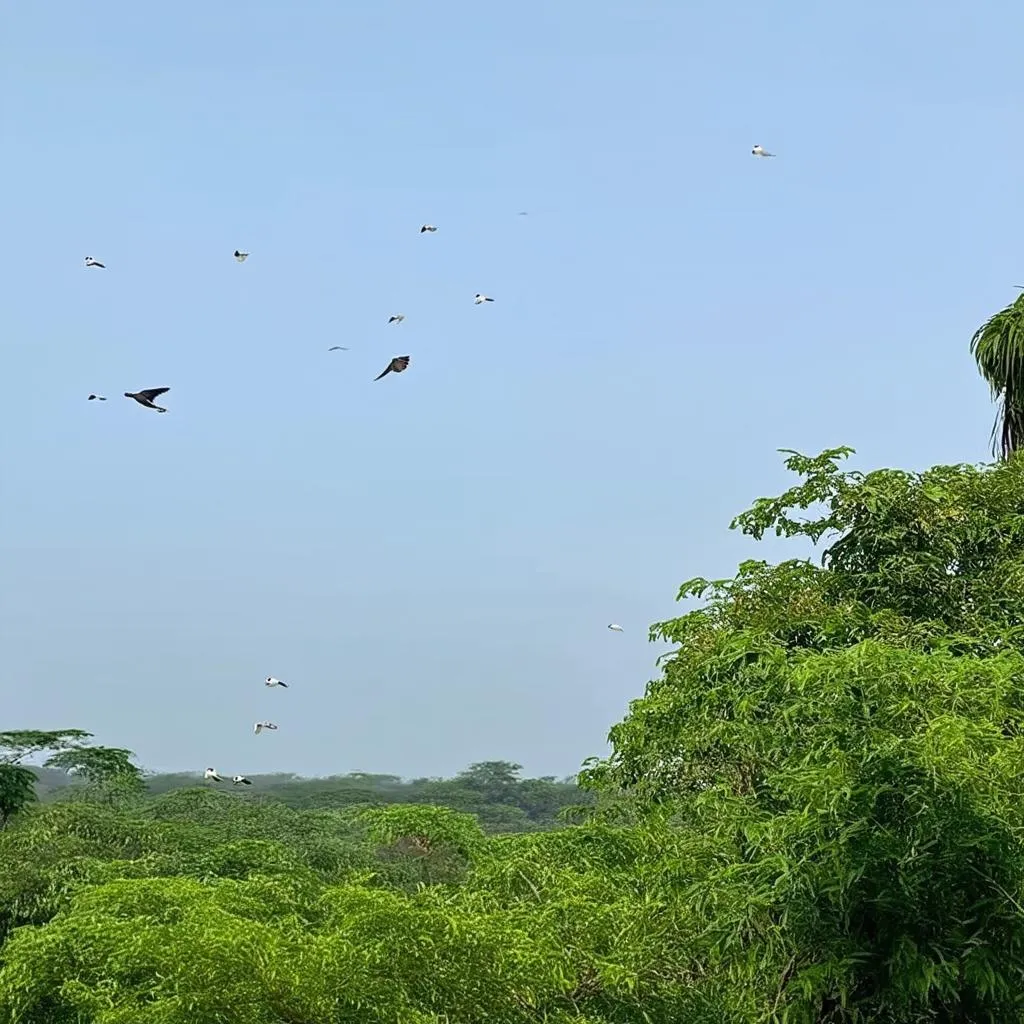 Vam Ho Bird Sanctuary