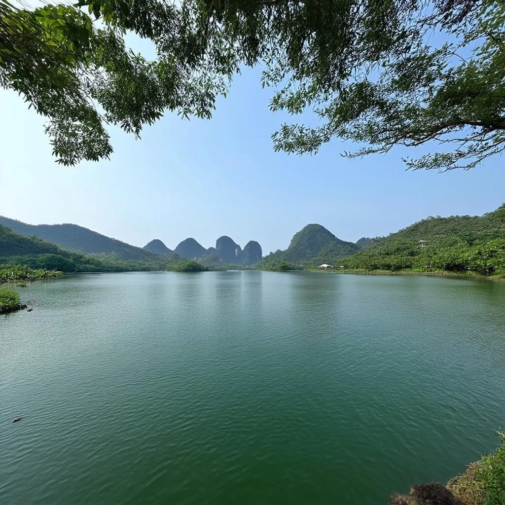 Serene lake view