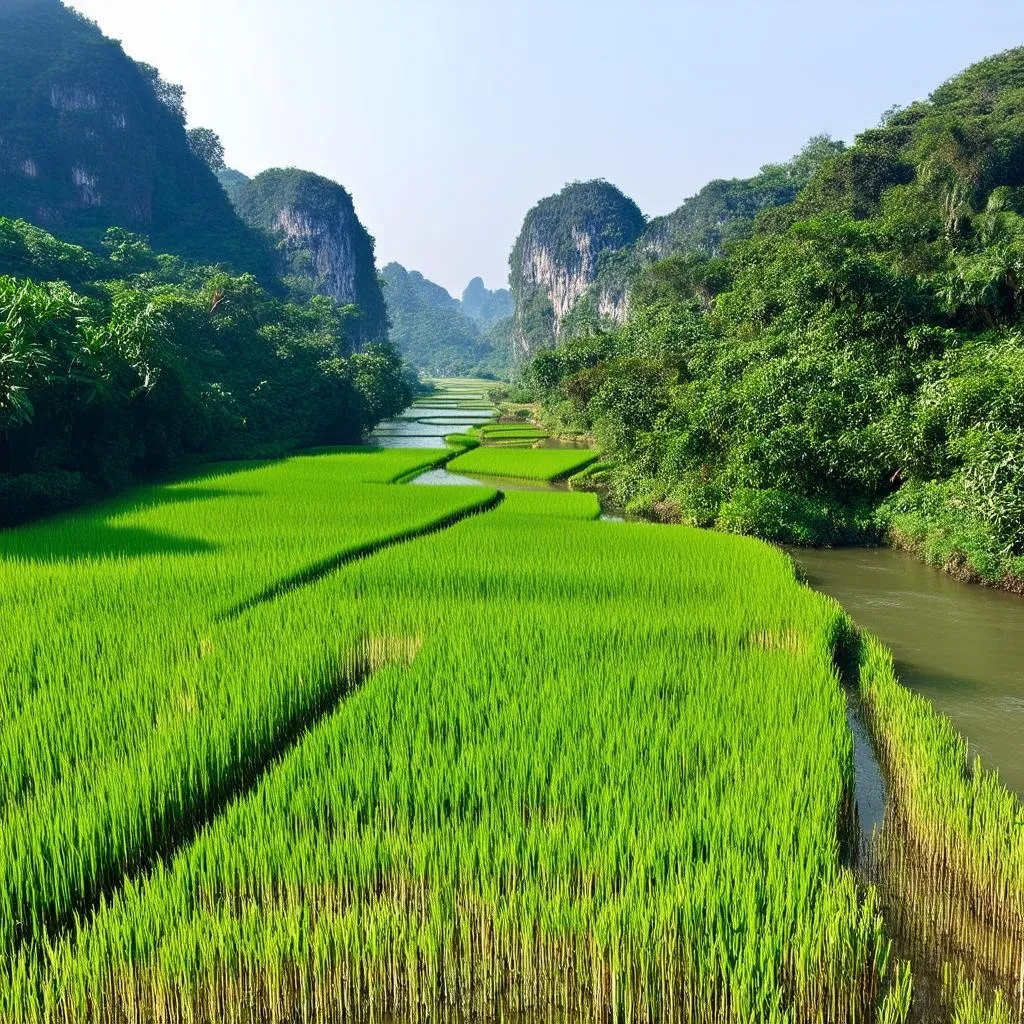 Scenic Vietnamese Landscape