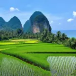 scenic Vietnam landscape