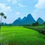 Scenic View of Vietnam