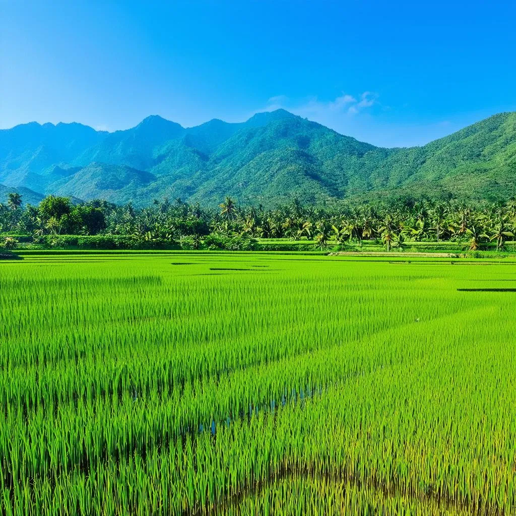 Vietnam Landscape