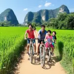 Family Enjoying a Scenic Bike Ride through Rice Paddies in Vietnam