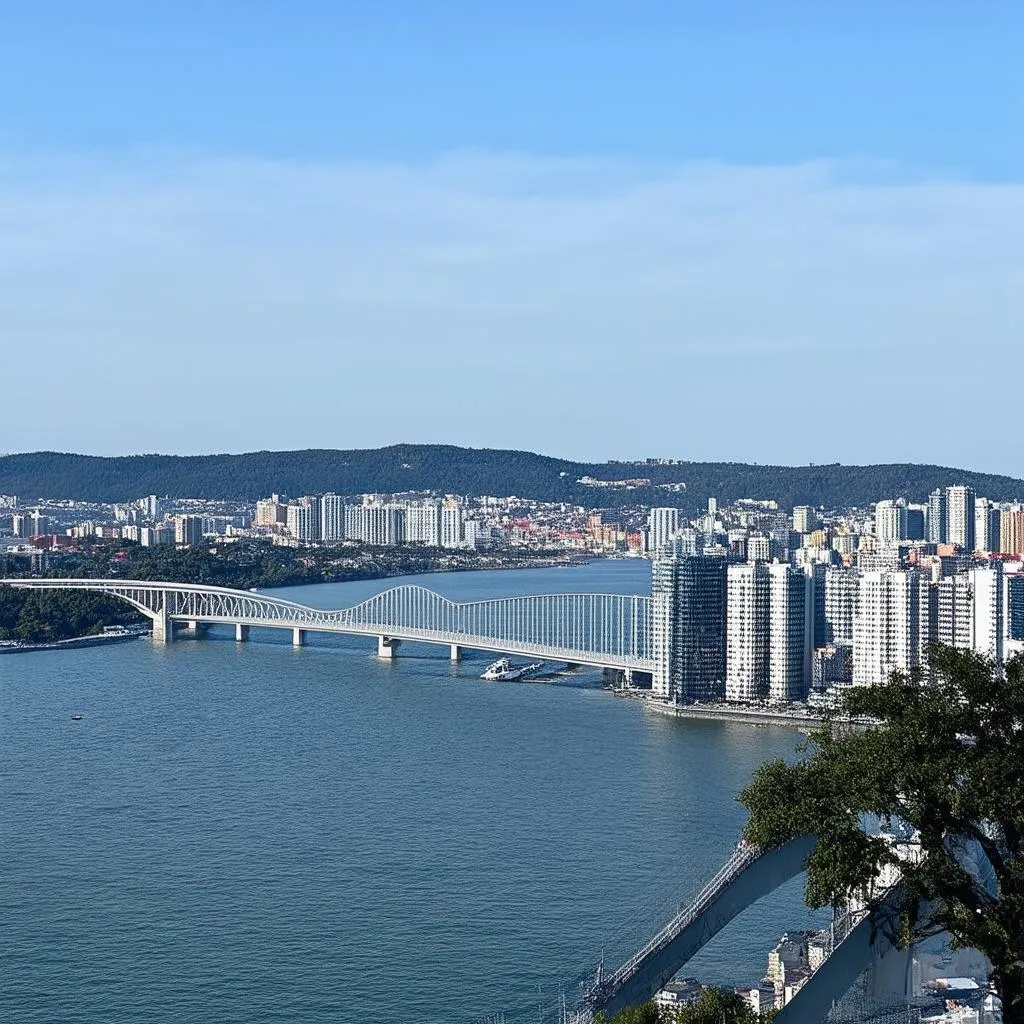 Vladivostok city with the Golden Bridge in the background