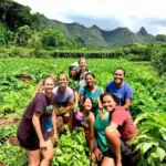 volunteering, Costa Rica, organic farm