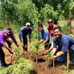 Group of volunteers planting trees