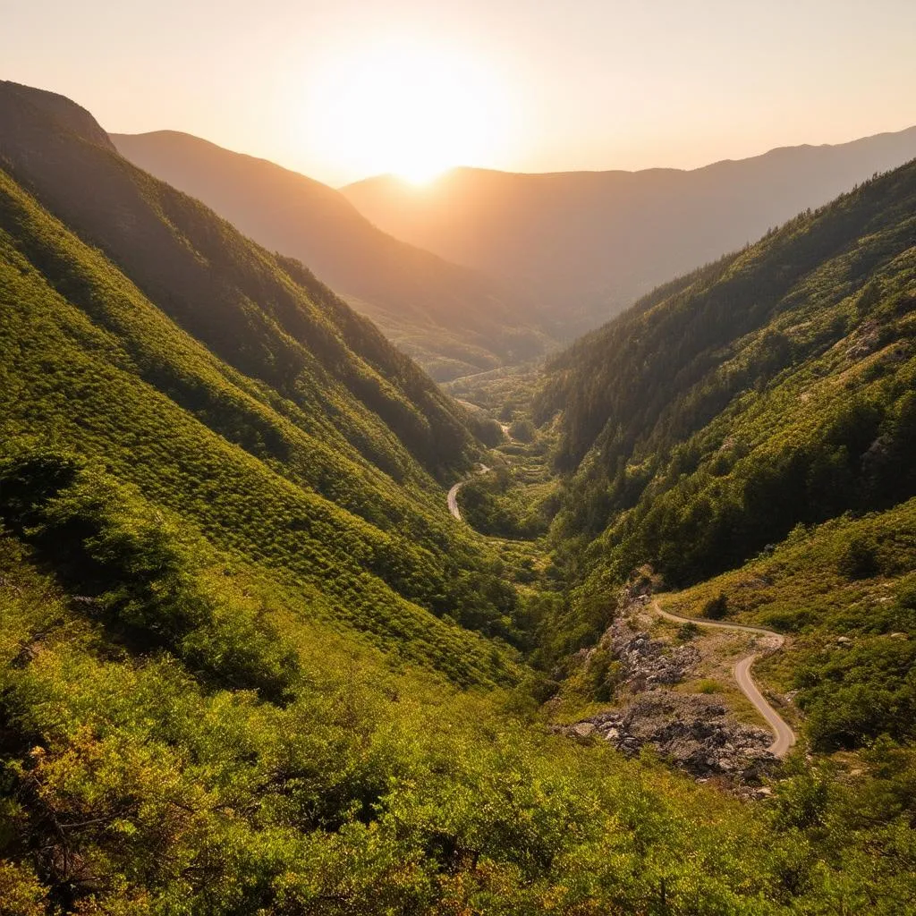 Winding Mountain Pass Overlooking Valley