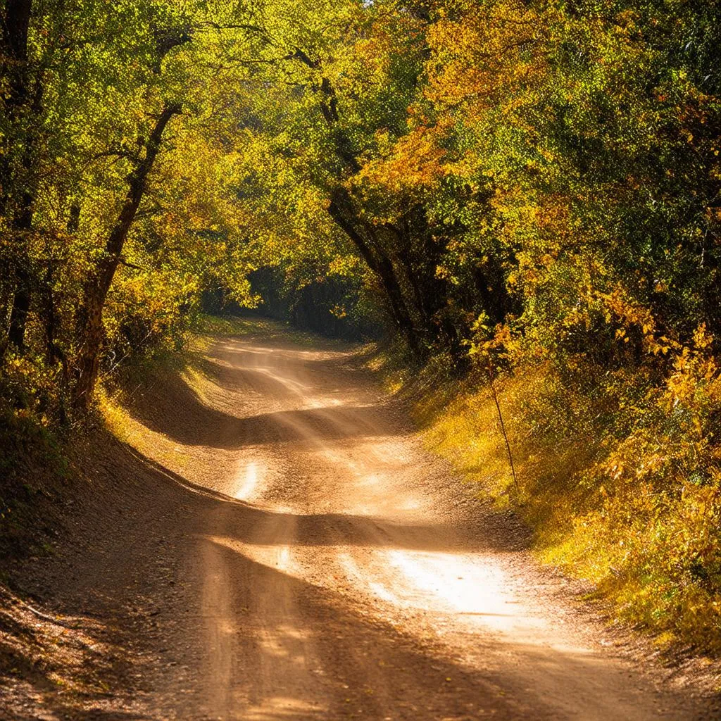 A Serene Path Less Traveled