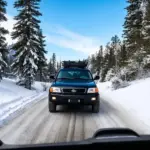 Snowy Mountain Road