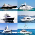 Yacht Charter Options