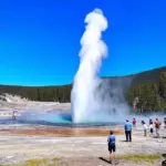 Yellowstone National Park in July