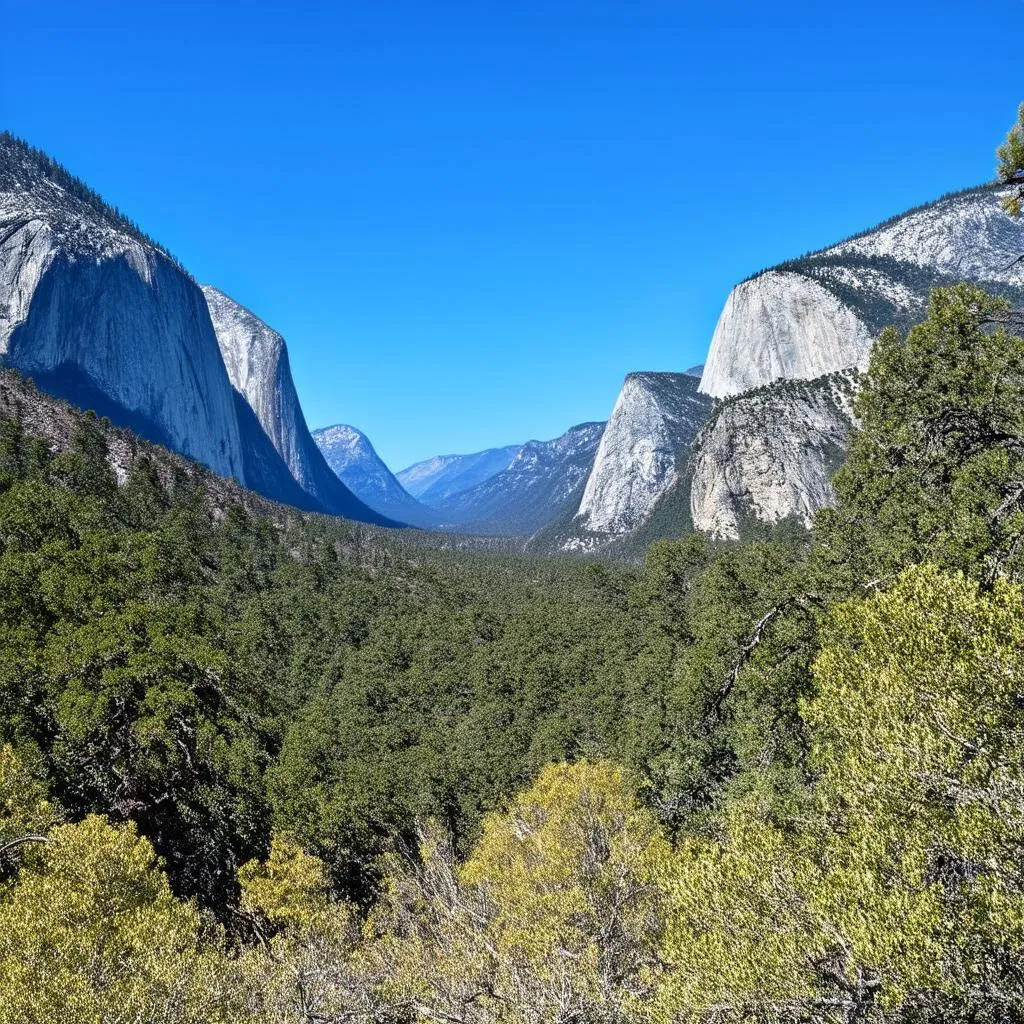 Yosemite Valley with El Capitan in the background