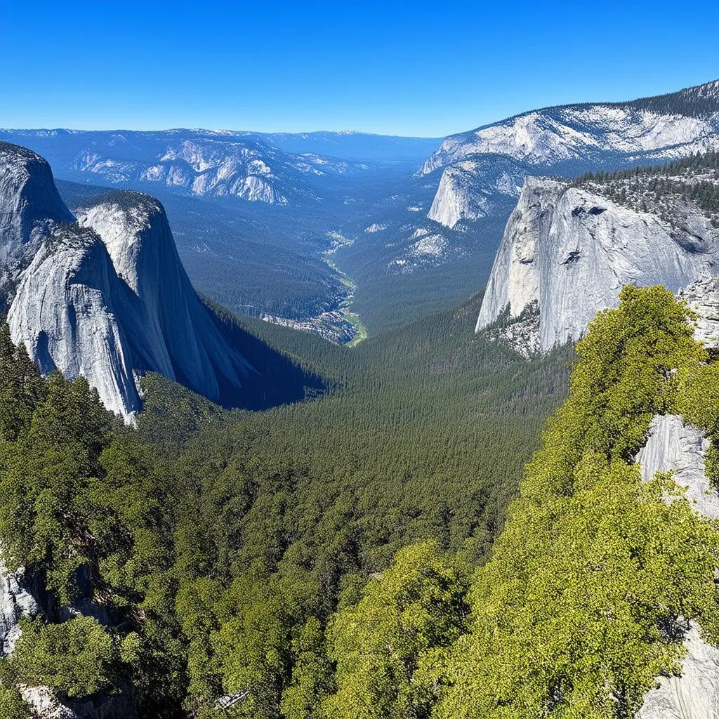 Yosemite National Park