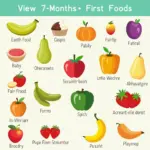 Baby First Food Guide: Fruits, Vegetables, and More