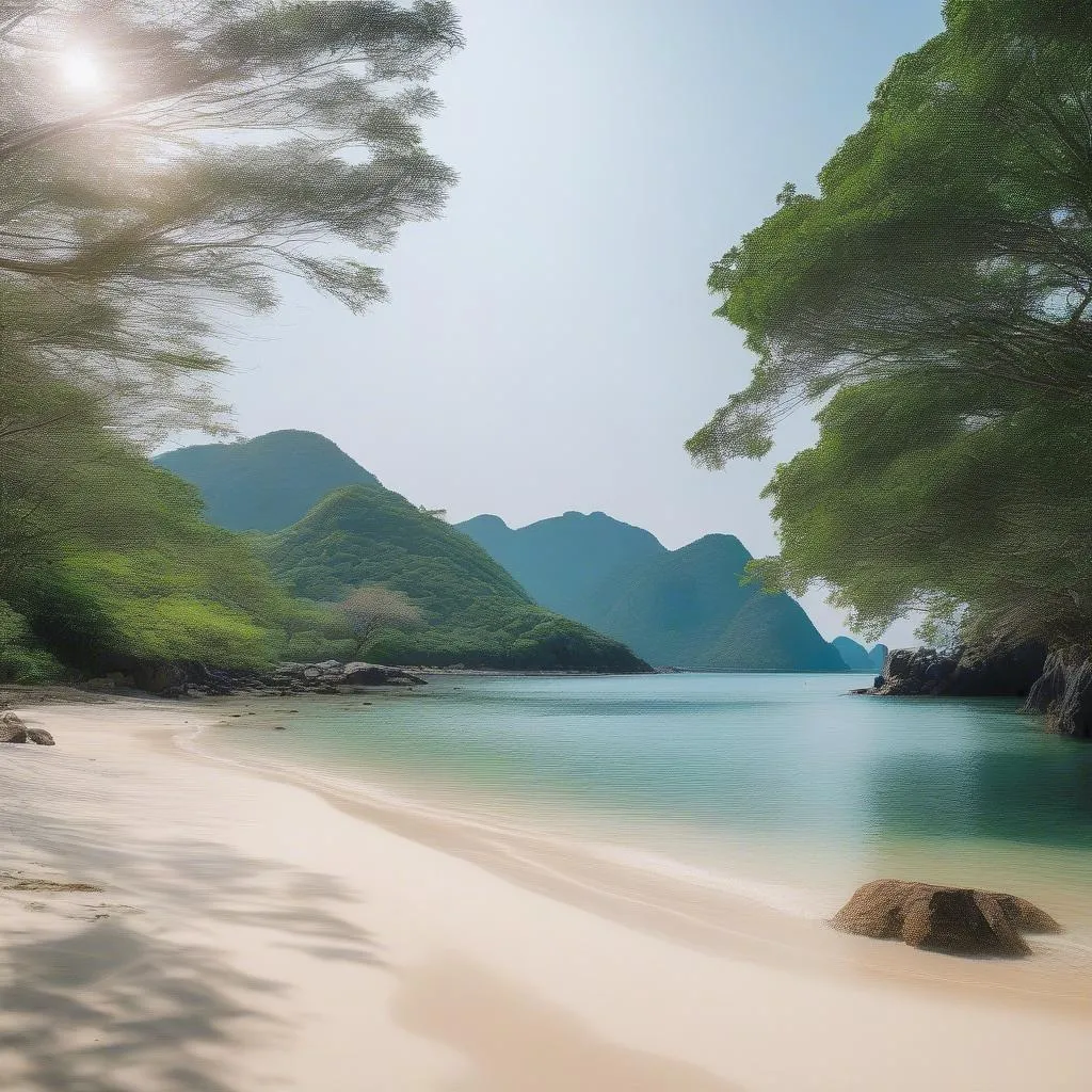 pristine-beach-binh-hung-island