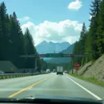 Canadian Border Crossing