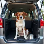 Choosing the right travel crate for your dog