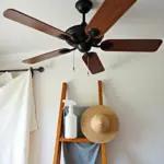 Cleaning supplies for a ceiling fan