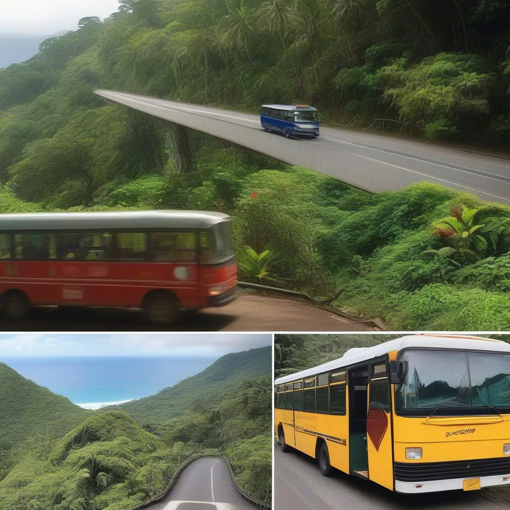 Costa Rica Transportation Options