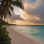 Cozumel beach at sunset with palm trees