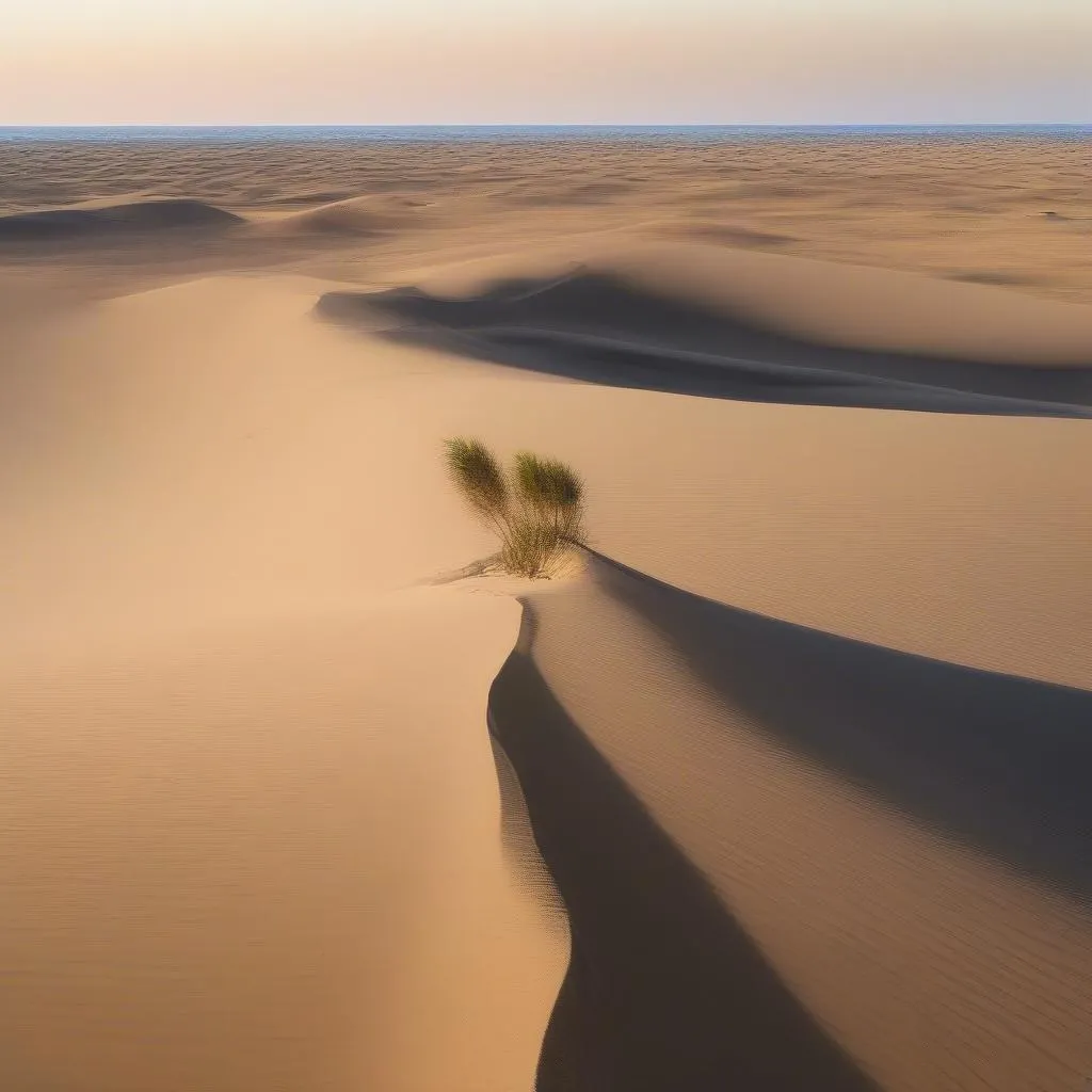 desert-landscape