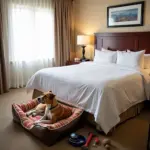 Dog-friendly hotel room with amenities