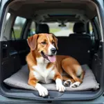 Dog comfortably resting in a travel crate.