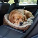 Dog sleeping peacefully in a car