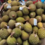 Different varieties of durian displayed in a market in Ho Chi Minh City