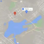 Google Maps Distance Feature