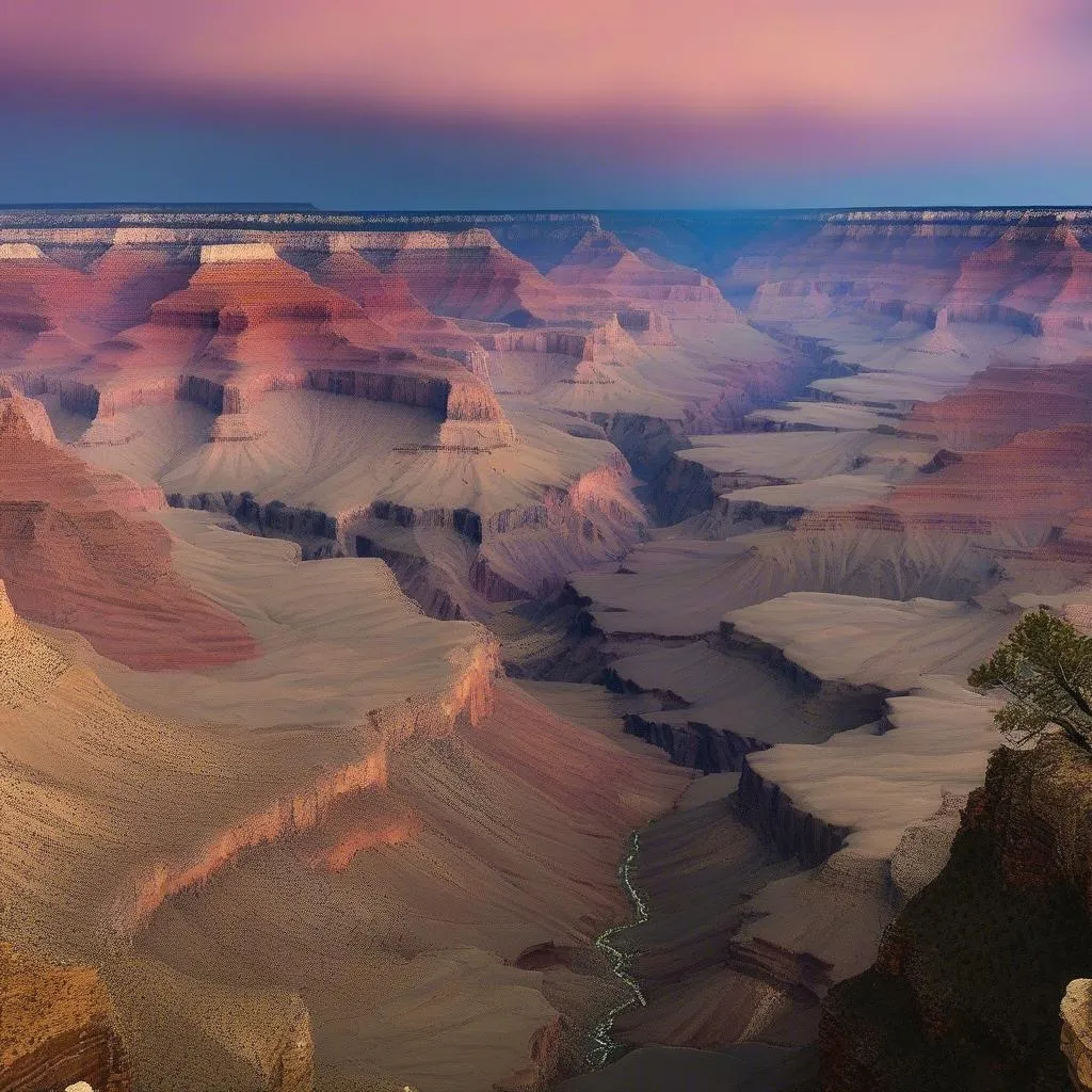 Grand Canyon View