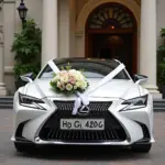 Hanoi wedding lexus rental