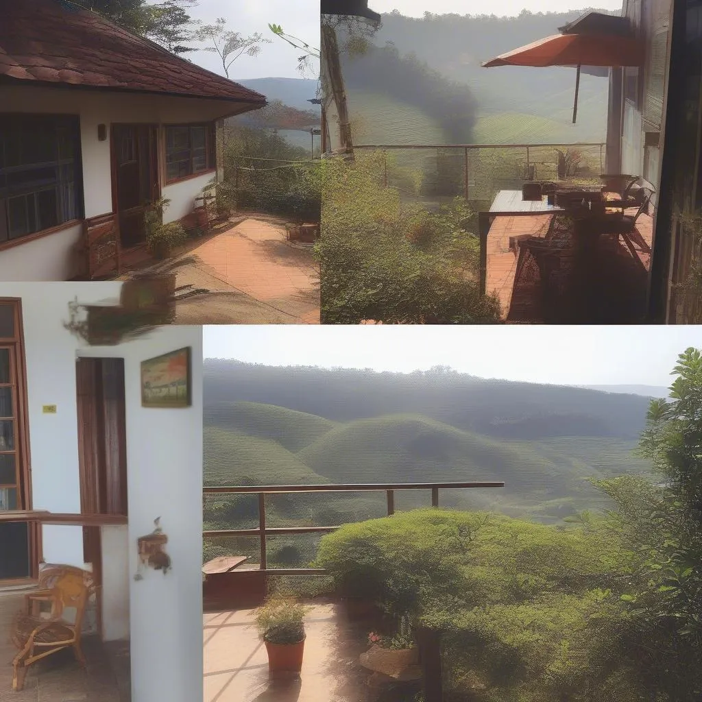 Homestay with Valley Views