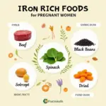 Iron-rich foods for pregnant women