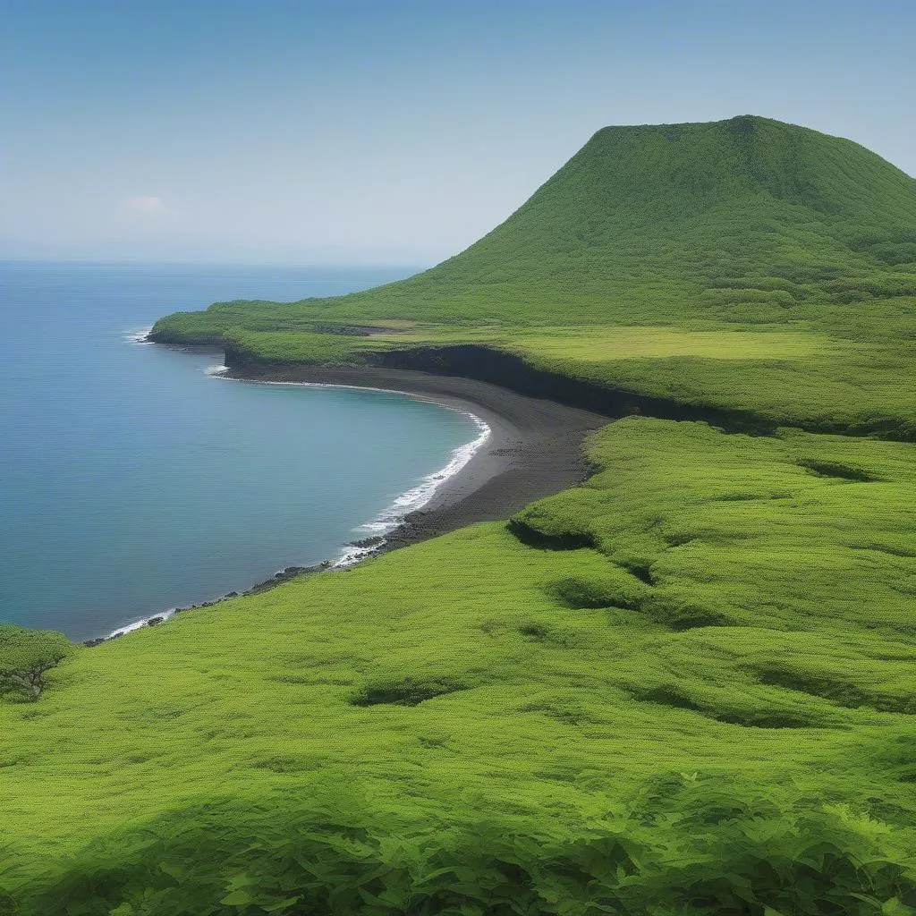 Jeju Island Landscape