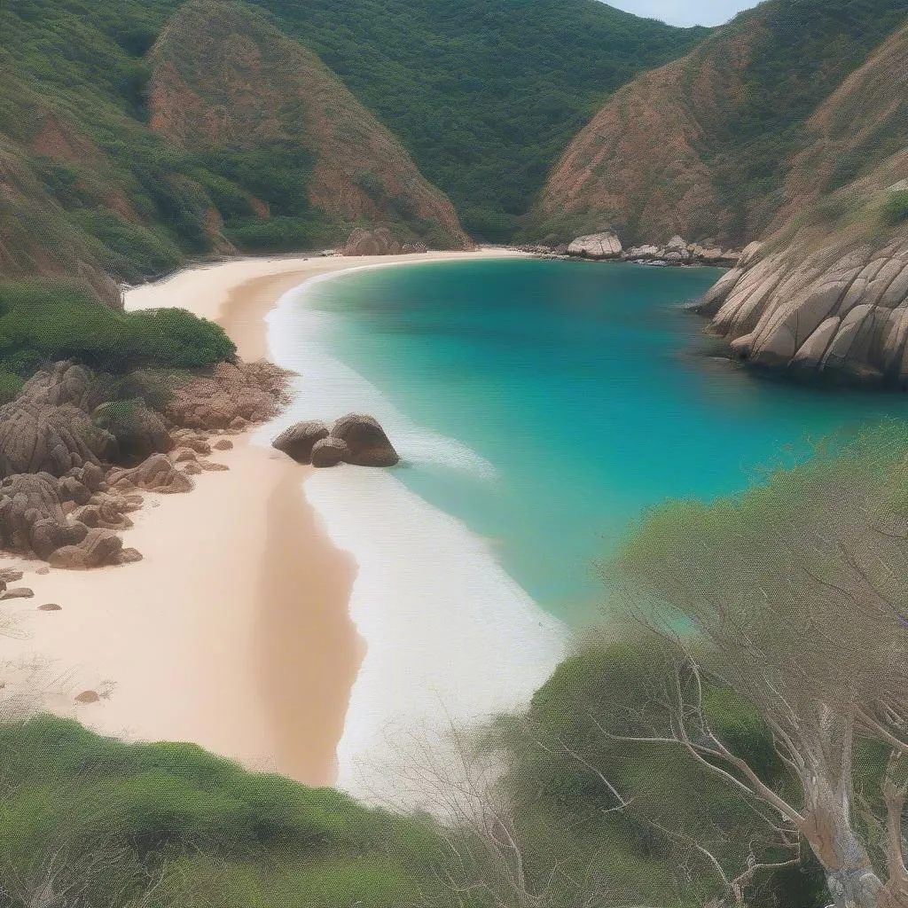 Quy Nhon Beach