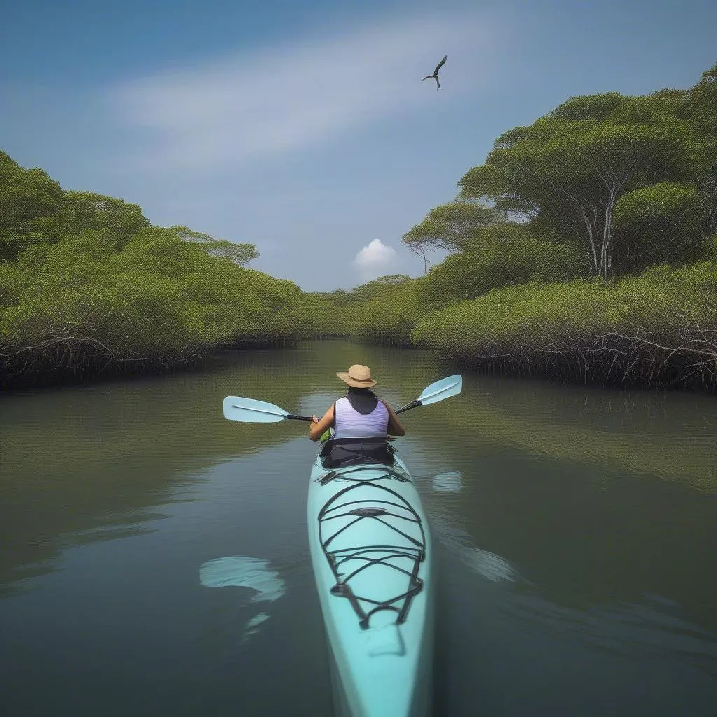 Kayaking through the Mangrove Forest