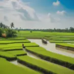 mekong-delta-landscape