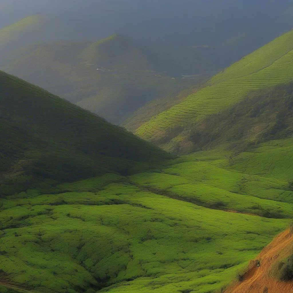 Nilgiris Mountain Landscape