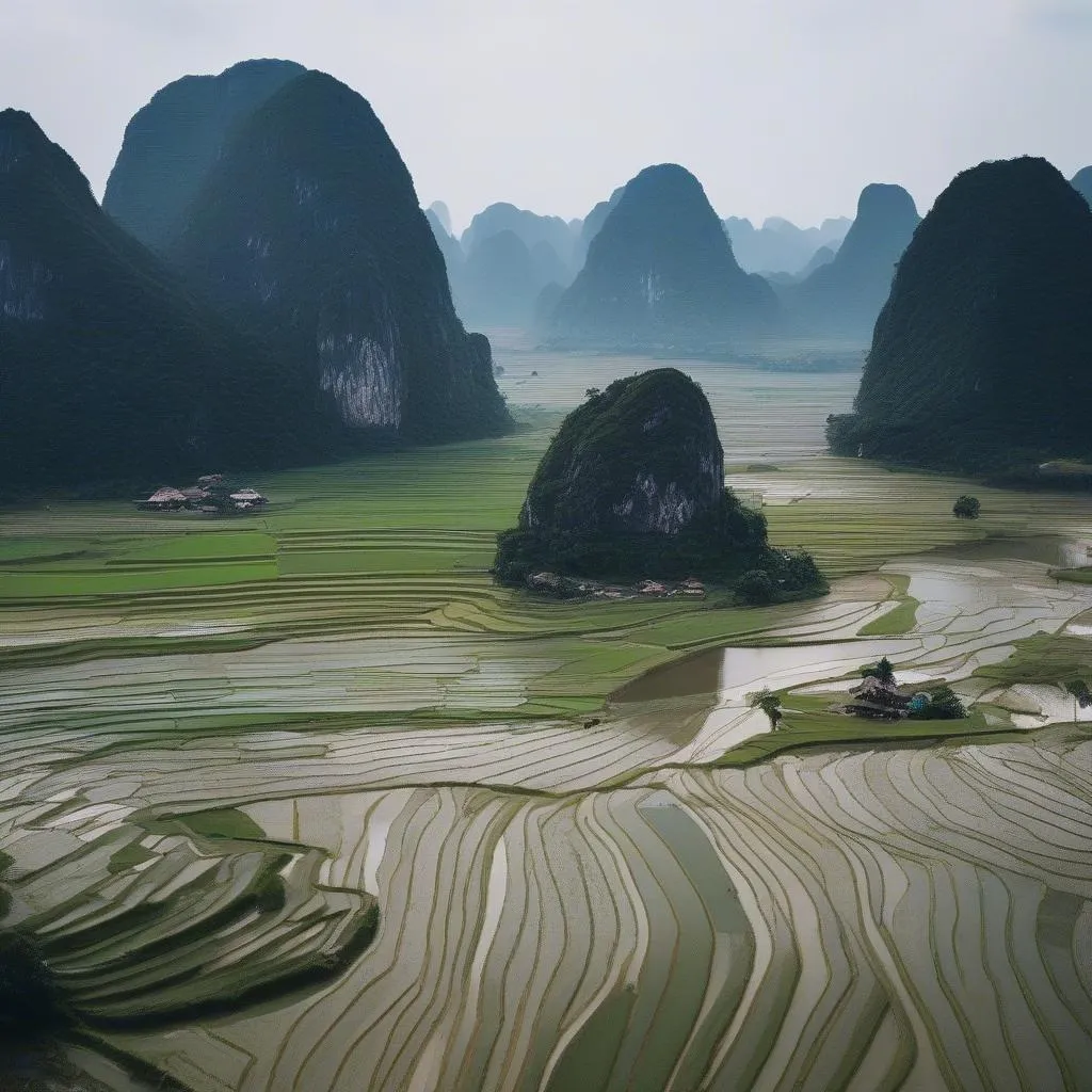 Ninh Binh Landscape