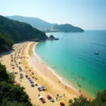 Ninh Chu Beach Panorama