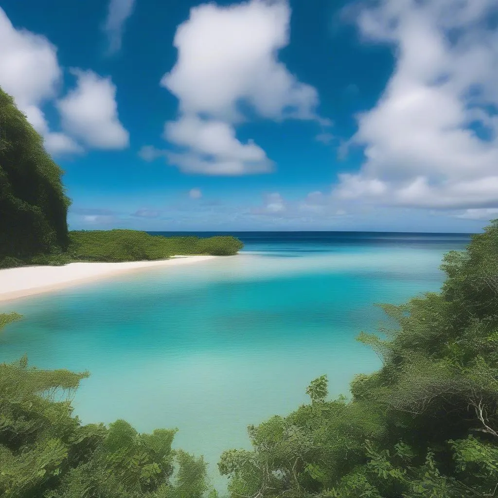 Northern Mariana Islands Beach