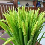 Plastic Rice Stalks as a Symbol of Prosperity and Harvest in Vietnam