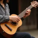 A person gracefully playing the Dan Bau, a traditional Vietnamese instrument.