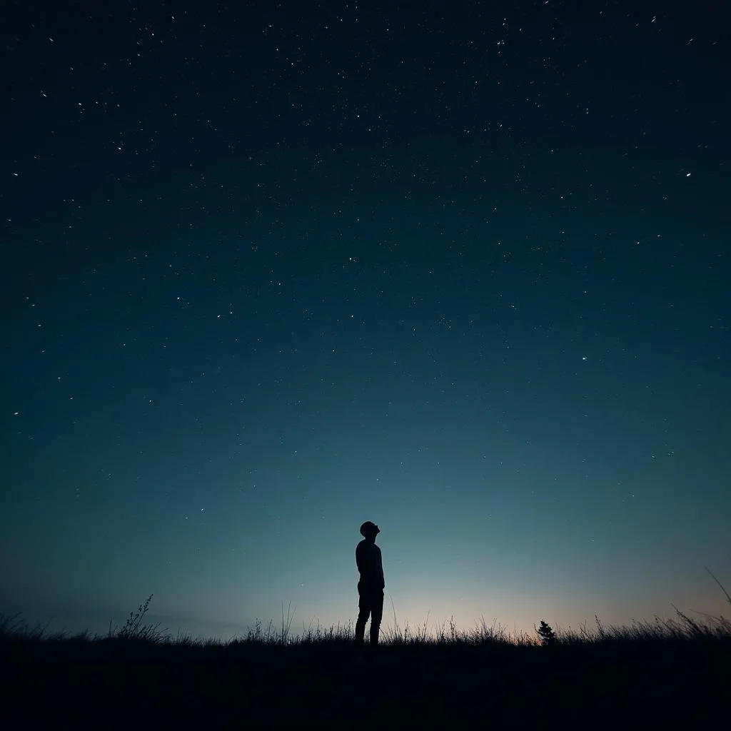 Starry night sky with a lone figure