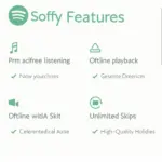 Spotify Premium Features