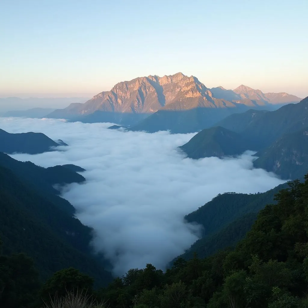 Cloud hunting in Ta Xua, Son La