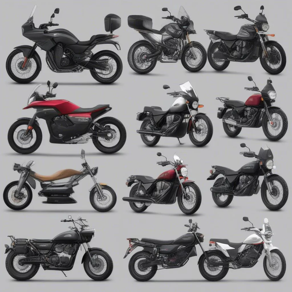 Tigit Motorcycle Models