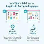 TSA 3-1-1 Rule Illustration